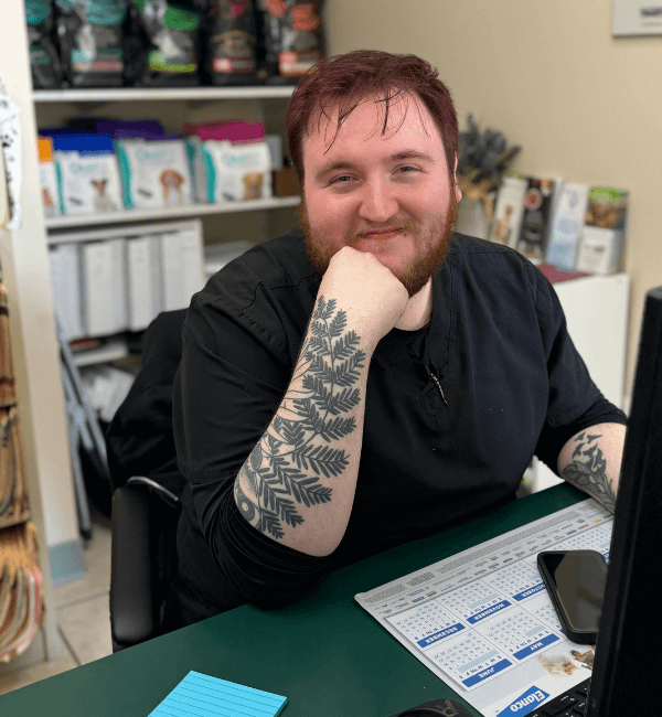 Brandon, Receptionist